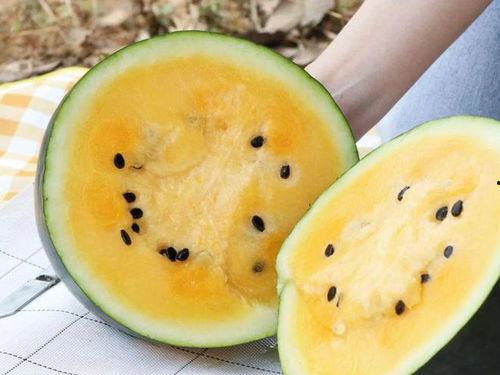 网传居委会吃瓜,社区生活新趣味