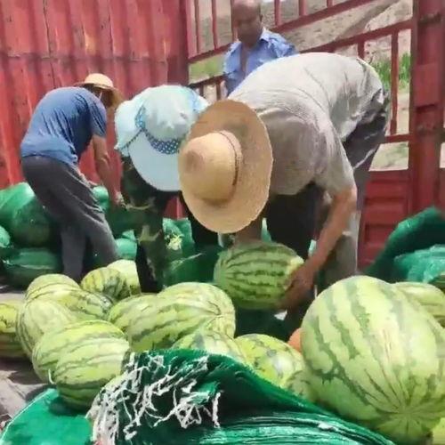 网传居委会吃瓜,社区生活新趣味