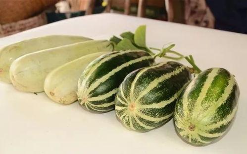 豆瓣网红吃瓜组