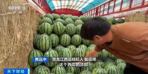 吃瓜热点网,揭秘娱乐圈最新八卦，带你领略明星幕后故事