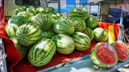 静安网红吃瓜事件真相揭秘,揭秘背后真相与争议