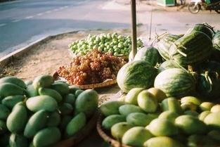 中国吃瓜论坛网站官网,揭秘网络热议背后的真实故事