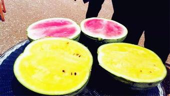 网爆泄密吃瓜,吃瓜群众揭秘幕后真相