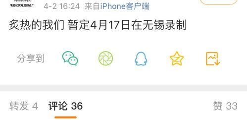 百度吃瓜网不犯法吧,合法探讨，畅享网络娱乐新境界