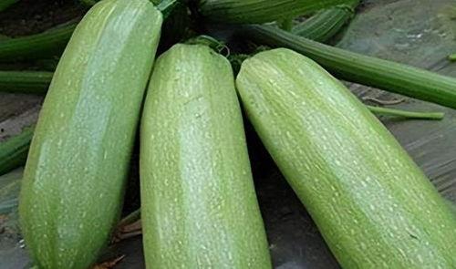 网红吃瓜9张图,9张图带你领略娱乐圈风云变幻