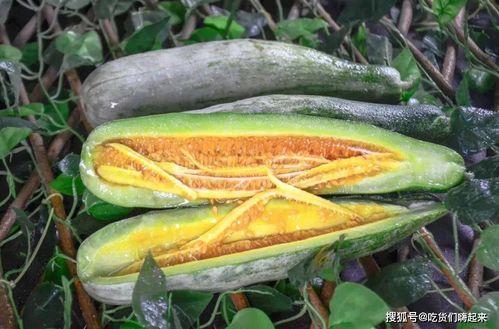 网红吃瓜9张图,9张图带你领略娱乐圈风云变幻