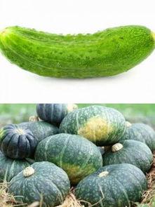 吃瓜网指什么,网络舆论场中的热点追踪者