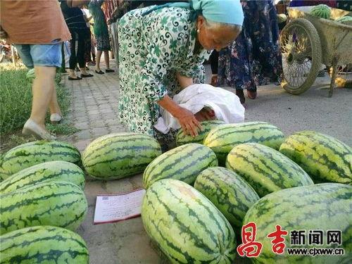 朝阳市民吃瓜网最新消息,吃瓜网曝惊人内幕，最新消息引发热议！