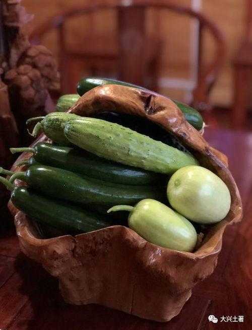 吃瓜视频的网红有哪些,吃瓜群众眼中的网红风云录