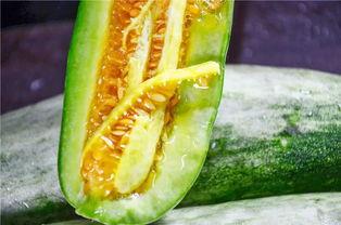 网红界吃瓜,揭秘幕后真相与精彩瞬间