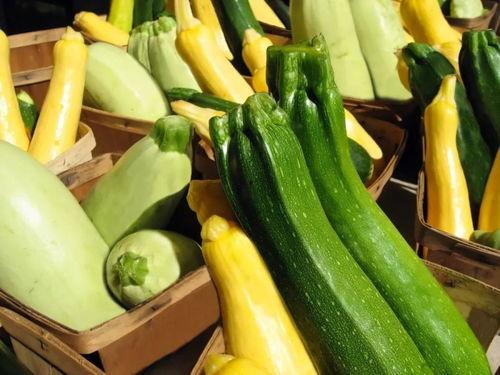 吃瓜sx网,网络舆论场中的“瓜田”风云