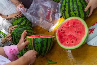 网爆吃瓜视频,揭秘娱乐圈幕后真相