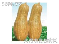 网爆吃瓜视频,揭秘娱乐圈幕后真相