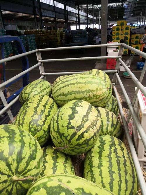 定州市吃瓜网求助热线,倾听民声，助力解决群众难题