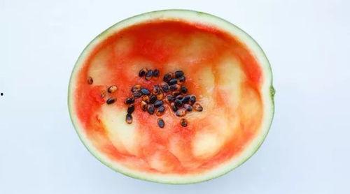 网红吃瓜大勺子图片大全,盘点趣味横生的美食瞬间