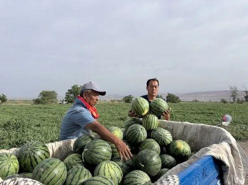 718吃瓜官网入口,带你畅游娱乐圈最新瓜料盛宴