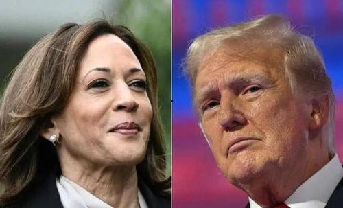 吃瓜网哈里斯,揭秘吃瓜网背后的娱乐帝国