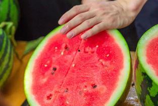 学院吃瓜和网红吃瓜,一场别开生面的吃瓜盛宴