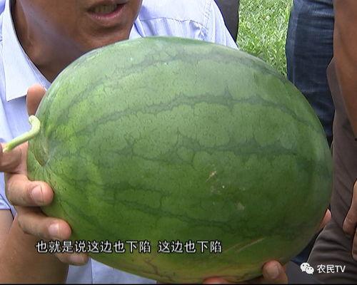 吃瓜大众网,揭秘娱乐圈幕后故事，带你走进明星生活