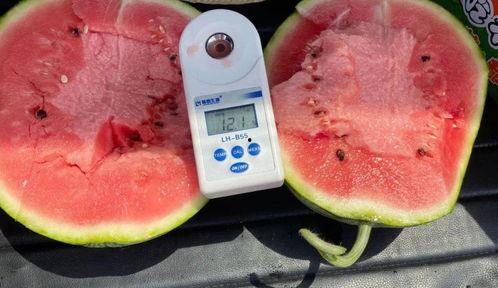 吃瓜网爆门,揭秘背后真相与影响