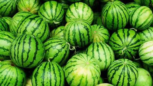 吃瓜网爆门,揭秘背后真相与影响