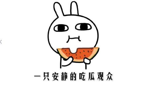 抖音吃瓜的网红,揭秘娱乐圈幕后故事