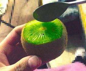 抖音网红吃瓜基地