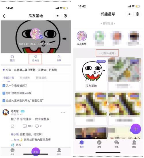网暴吃瓜软件,从“吃瓜”软件看网络暴力的隐秘角落