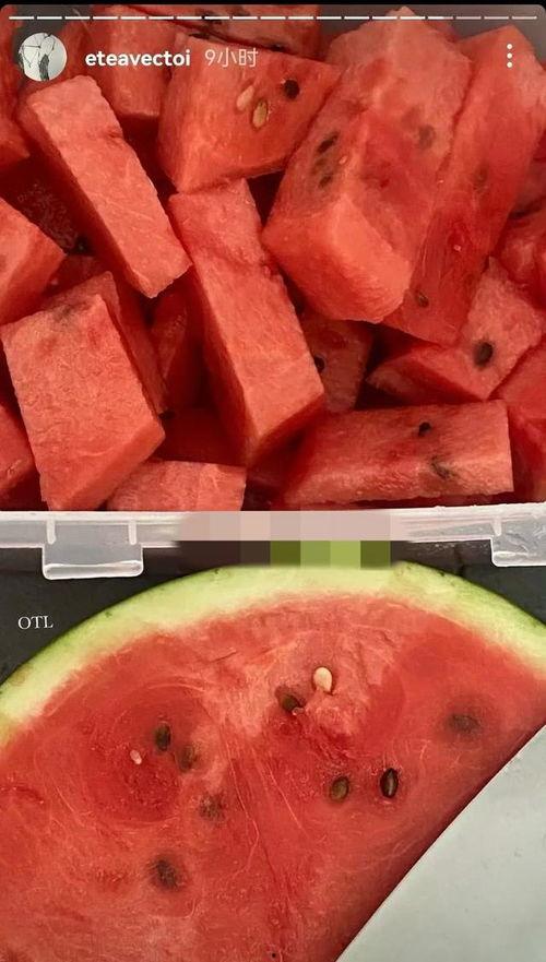 善堂网红吃瓜视频,善堂网红视频背后的故事