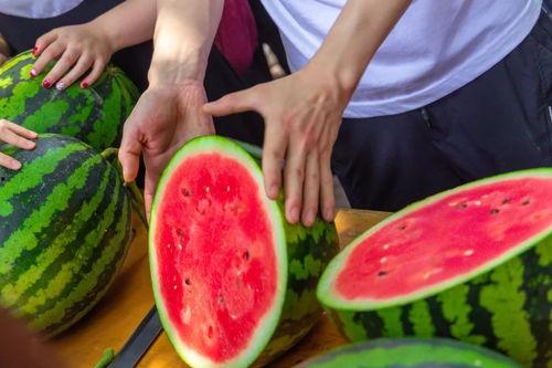 云南大学吃瓜网,揭秘校园热点事件背后的真相