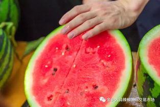 云南大学吃瓜网,揭秘校园热点事件背后的真相