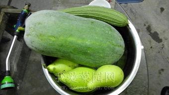 热门大瓜吃瓜网,吃瓜网带你领略娱乐圈风云变幻