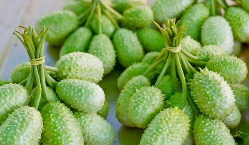 吃瓜部落官网,探寻网络红人背后的故事与魅力