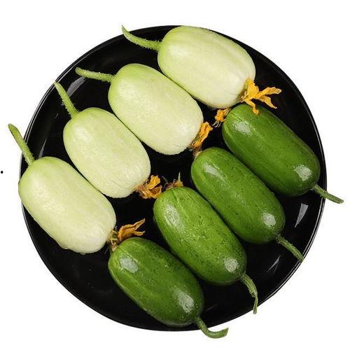 网红好看的视频吃瓜,一场视觉与味蕾的双重盛宴