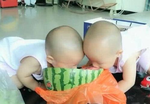 吃瓜双胞胎网红,揭秘吃瓜双胞胎网红的爆红之路