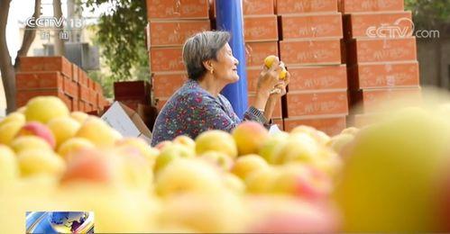 摆摊男网红吃瓜视频下载,揭秘瓜摊背后的故事