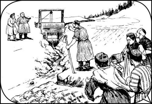 吃瓜网亭子,网络舆论场中的焦点之地