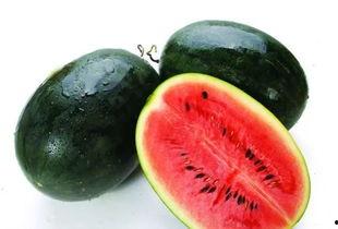 康县网红怎么吃瓜