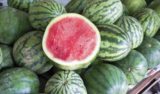 网红吃瓜爆料大全倒放