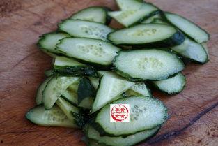 网瓜什么时间种最合适吃