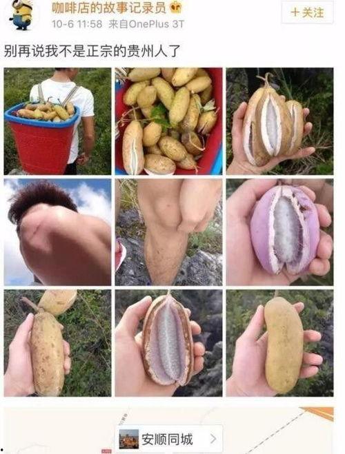 网红水果九月瓜怎么吃,多样吃法，尽享美味时光