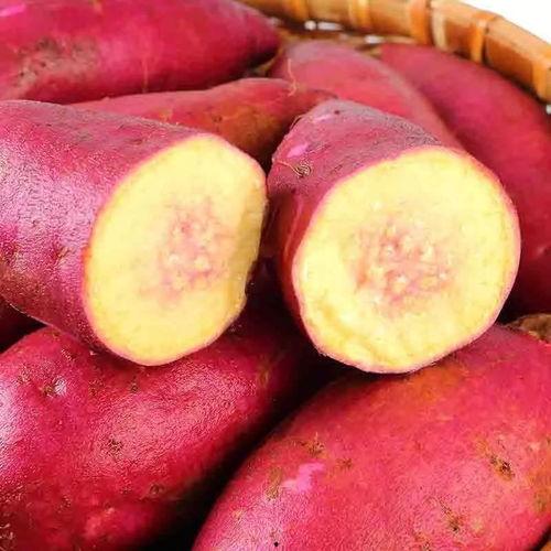 广东网红吃瓜,趣味横生幕后花絮大揭秘