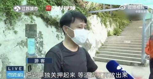 网红吃瓜的观众主要群体是谁