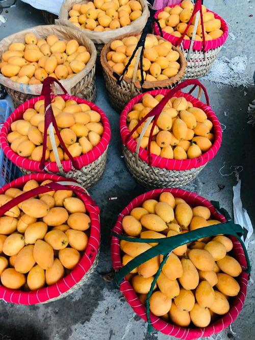 600万粉丝抖音网红吃瓜