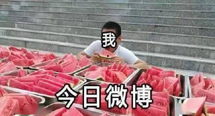 前段时间网红吃瓜事件,揭秘网络舆论背后的真相与争议