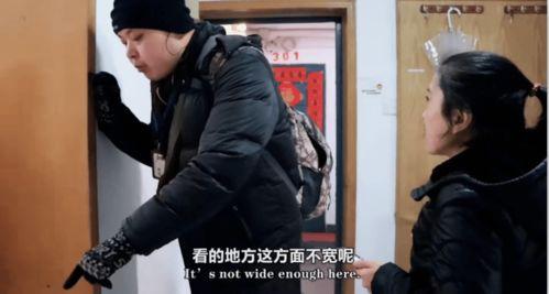 路羽吃瓜网盘,揭秘娱乐圈幕后故事，带你走进明星私生活