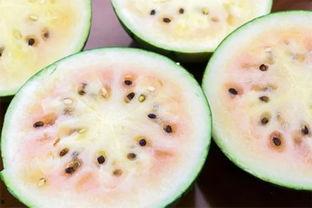 湘潭网红最新吃瓜新闻事件,揭秘幕后真相与网络舆论风暴