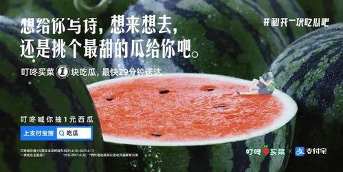 网红吃瓜文案怎么写好,揭秘娱乐圈幕后风云