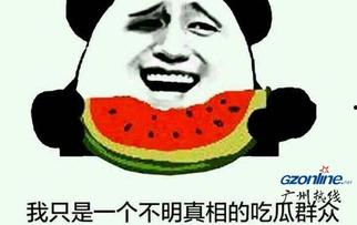 吃瓜群众有哪些网红