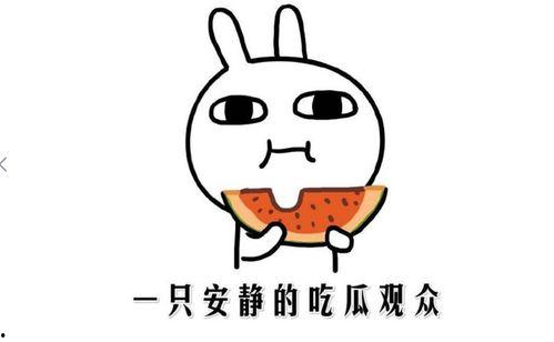 星怡快手网红吃瓜事件
